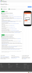 vamshop2-google-pagespeed-insights-100-100-mobile
